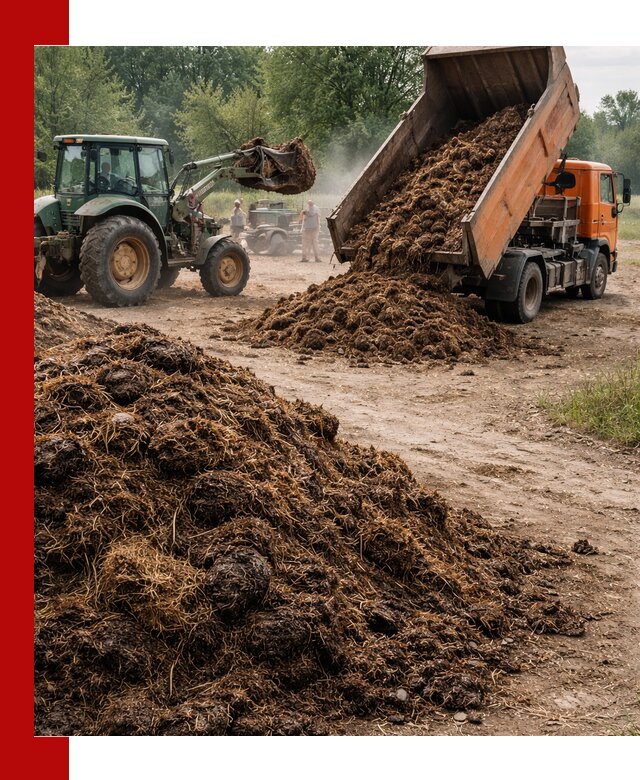 Доставка навоза самосвалами в Богородицке для сельхозпотребностей